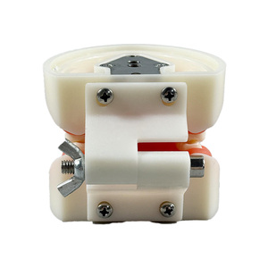 Modèles dentaires, dents en porcelaine, standard dentaire, 32 dents amovibles, nouvelles dents pour adultes - Product Image 3