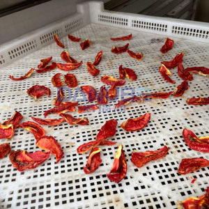 Nouvelle technologie : Four de séchage à pompe à chaleur pour tomates, déshydrateur de tomates, machine à sécher les tomates - Product Image 4