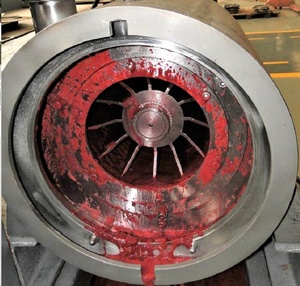 Machine de fabrication Semi-automatique pour aliments, fruits et légumes, pour la Production de pignons, économique - Product Image 2