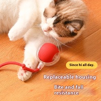 Nouveau Design 360 ° Smart Automatic Cat toy Interactive Rolling Ball Pet Toy Chargeur USB pour chats