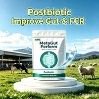 ADZ MetaGut Perform Additifs Alimentaires Postbiotiques pour la Santé et la Performance Intestinale des Porcs, Bovins, Ovins et Bétail
