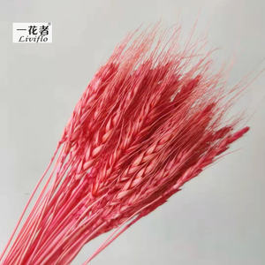 Decorazione piante essiccate secca di grano bouquet di <span class=keywords><strong>fiori</strong></span> <span class=keywords><strong>secchi</strong></span> - Product Image 4