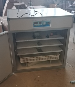 Máy ấp trứng tự động với Máy ấp trứng 1056 và hệ thống Máy Ấp Trứng - Product Image 5