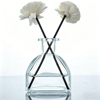 Bouteille d'aromathérapie vide, accessoires de diffuseur de parfum, diffuseur sans flamme rechargeable pour la maison, l'hôtel, le club d'affaires