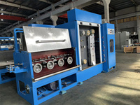 Machine à tréfiler le cuivre à deux fils DT24-2 avec 24 matrices et recuiteur, entrée 1,0 mm, sortie 0,08-0,35 mm