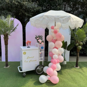 Chariot <span class=keywords><strong>de</strong></span> nourriture mobile poussé à la main pour la crème glacée et les sucettes glacées Chariot <span class=keywords><strong>de</strong></span> poussée réfrigéré <span class=keywords><strong>de</strong></span> style décrochage avec système <span class=keywords><strong>de</strong></span> pompe à <span class=keywords><strong>eau</strong></span> - Product Image 1