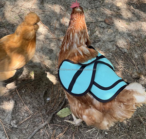 Custom Hen Saddle Vest Jacket Chicken Saddle with Larger Wing Cover Adjustable Chicken <b>Feather</b> Protector for Medium Large Hens - Product Image 5