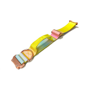 Thiết kế mới nhiệm vụ nặng nề chiến thuật Gradient con chó cổ áo và dây xích thiết lập - Product Image 3