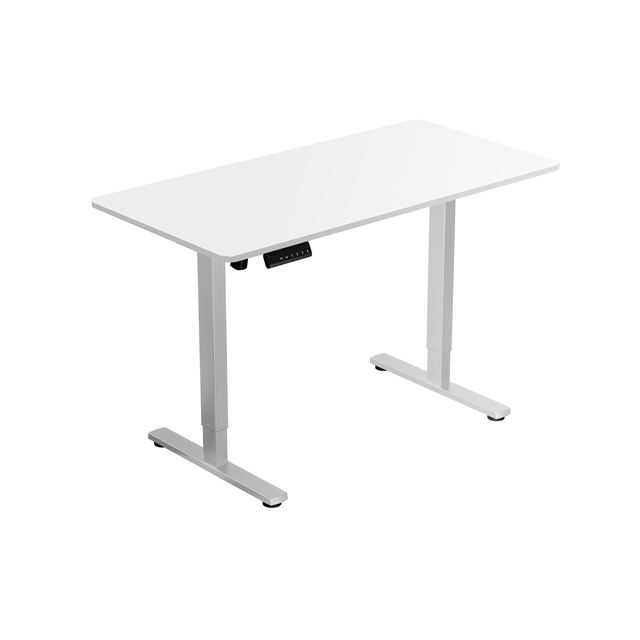 Electric Standing Desk Height Adjustable Sit Stand Desk Single Motor Ergonomic Office Workstation Quiet Motor
