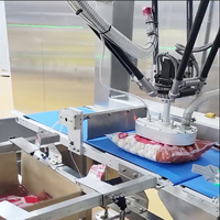 Bras robotisé 6 axes BLMC avec moteur PLC et boîte de vitesses pour l'ouverture et l'emballage automatiques des cartons de lait