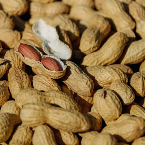 new harvest select peanuts premium select groundnut <strong>kernels</strong> new season choice peanuts premium choice indian groundnuts - Product Image 1