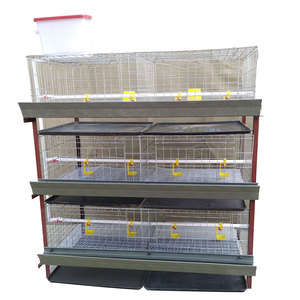 2020 Venta caliente automático sistema <span class=keywords><strong>de</strong></span> agua potable aves <span class=keywords><strong>de</strong></span> <span class=keywords><strong>corral</strong></span> <span class=keywords><strong>de</strong></span> engorde jaula <span class=keywords><strong>de</strong></span> pollo - Product Image 2