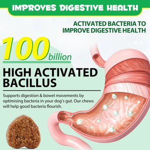 30 Masticabili Morbidi per la Salute Digestiva e Intestinale, <span class=keywords><strong>Integratore</strong></span> Alimentare Naturale per Animali Domestici, Snack per <span class=keywords><strong>Cani</strong></span>, Masticabili Morbidi Probiotici per Animali - Product Image 3