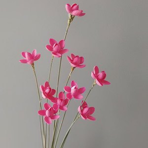 Flores de Orquídea Secas al por Mayor, Ramos de Flores Secas de Varios Colores, Accesorios de Fotografía, Decoración del Hogar <span class=keywords><strong>con</strong></span> Orquídeas - Product Image 2