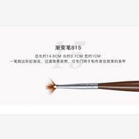 Pinceau professionnel OEM pour nail art, série Cacao, manche en bois brun, poils en nylon, en forme d'éventail, dégradé, PEBEO, vente en gros