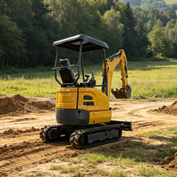 Mini-excavatrice TP20 de 2 tonnes avec cabine fermée, petite pelle compacte à chenilles, faible bruit, mini-excavatrice de 2000 kg, micro-excavatrice EPA