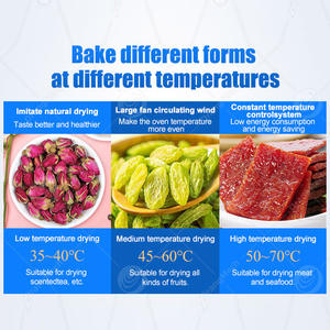 ORME fresco ananas datario vassoio asciugatrice macchina Tofu <span class=keywords><strong>zafferano</strong></span> frutta disidratatore gamberetti freschi anatra carne disidratazione - Product Image 3