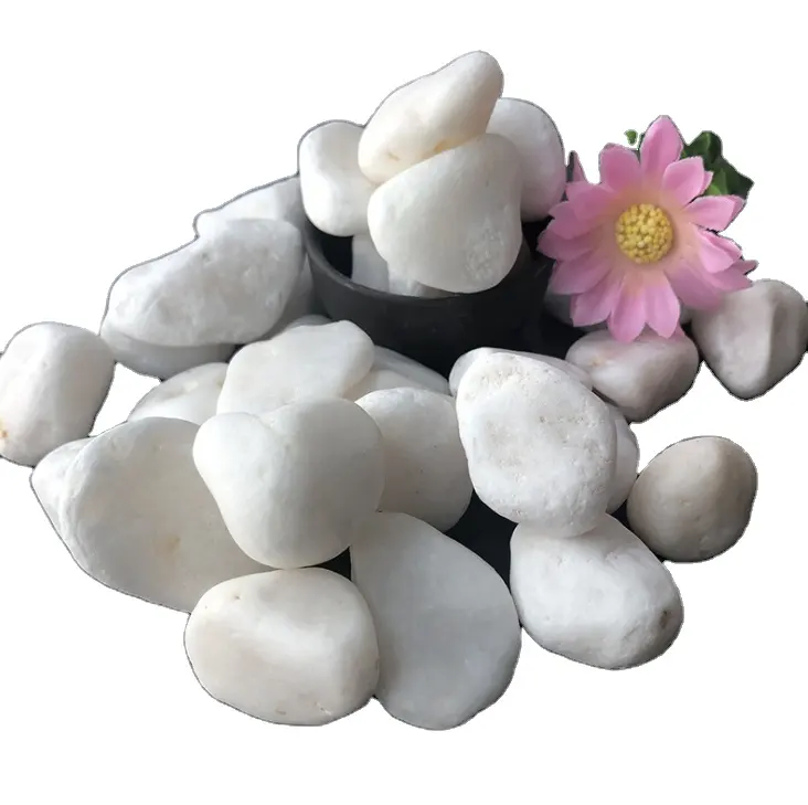 Garden decoration natural white dolomite pebbles stone