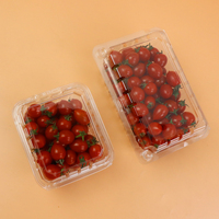 500g récipient alimentaire en plastique personnalisé fruits frais Punnet avec fraises bleuets cerises tomates boîte à clapet