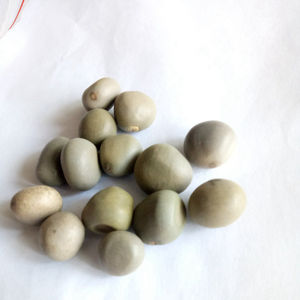 Yun shi <span class=keywords><strong>เมล็ด</strong></span><span class=keywords><strong>หนาม</strong></span>ป่า mysore ธรรมชาติ<span class=keywords><strong>เมล็ด</strong></span>แห้ง Caesalpinia decapetala สําหรับสมุนไพร - Product Image 4