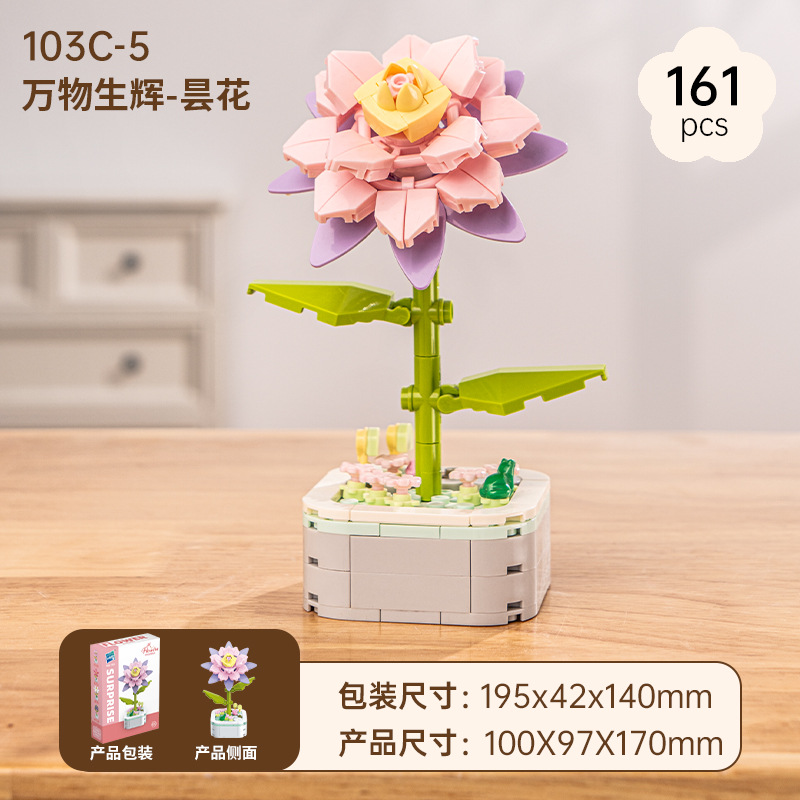 Epiphyllum indicum