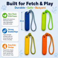 Jouet à mâcher pour chien en mousse EVA, balle de plage durable et populaire pour animaux de compagnie, résistante à l'eau, interactive, écologique, 22 cm, solide