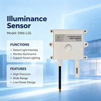 SW6LSS Sensor Tahan Air Luar Ruangan SW6LSS RS485 Modbus RTU Pemancar Pencahayaan 0 65535 Lux untuk Pemantauan Lingkungan Pemandangan
