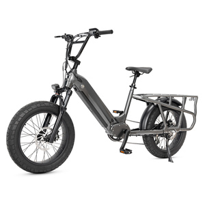 Vélo cargo électrique à deux roues le plus populaire de Mario pour la famille - Product Image 3