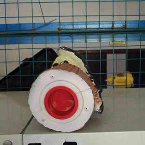 Décoy réaliste en plastique PE pour extérieur, fausse fauvelle, fausse hibou, fausse aigle, effaroucheur d'oiseaux, répulsif pour jardin, cour, ferme - Product Image 6