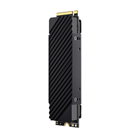 للبيع بالجملة من المصنع محرك أقراص sss داخلي pclefme M.2 gb 1x2x4 مع جهاز تبريد M.2 لأجهزة الكمبيوتر المحمولة المستهدفة