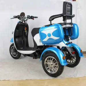 Scooter elétrico de 3 rodas, alta qualidade, fora da estrada, dois assentos, motorizado, triciclo, elétrico,