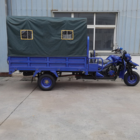 Tricycle à moteur à essence pour le transport de marchandises, tricycle à trois roues, moteur 200/250/300CC