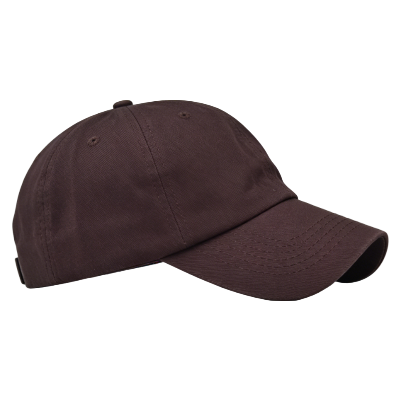 สีน้ำตาล