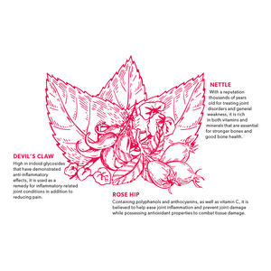 Yuca a base <span class=keywords><strong>de</strong></span> hierbas naturales personalizada, soporte para la fuerza <span class=keywords><strong>de</strong></span> los huesos, té para la salud - Product Image 4