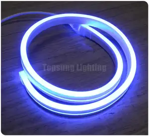 Preço de fábrica regulável 230v ac 24v tira de neon led tipo de alta potência 11*19mm luz led de neon