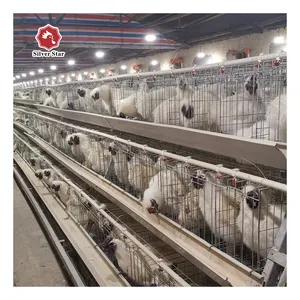 Élevage de volaille automatique, pouces, système de batterie de Type A, couche d'œufs, Cages de poulet