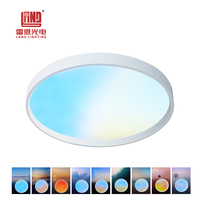 Panneau lumineux LED de plafond à spectre complet CCT moderne Panneau lumineux intelligent d'intérieur rond
