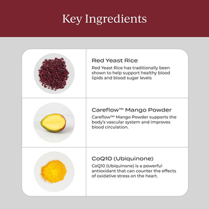 CoQ10 líquido oral de alta calidad, arroz de levadura roja, apoya la función cardiovascular, los lípidos en sangre, el envejecimiento saludable y la salud del corazón. - Product Image 4