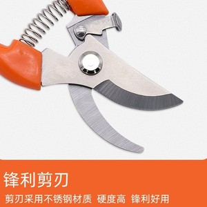 Tijeras de podar con mango naranja de acero aleado, herramienta de jardín para recortar árboles frutales y flores - Product Image 3