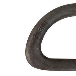 चीन गर्म गुणवत्ता हार्डवेयर घटकों ने औद्योगिक और समुद्री धांधली के लिए 45 # स्टील डी छल्ले - Product Image 6