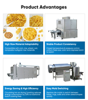 Machine automatique compacte pour la fabrication de céréales de petit-déjeuner (granola), extrudeuse à double vis pour flocons de maïs et transformation de céréales multigrains