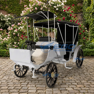 Charrettes électriques personnalisables, charrettes à roues pour mariages et visites touristiques, et charrettes citrouilles vintage à vendre - Product Image 1