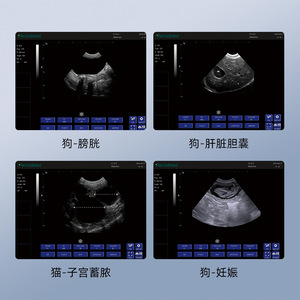 Máquina de Ultrasonido Portátil para Mascotas, Equipo de Diagnóstico Veterinario Ligero de 7 kg con Batería Extraíble para Uso Médico - Product Image 4