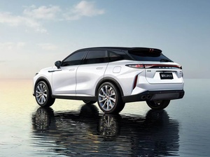 إصدار عالمي من Xingtu Yaoguang مع دفع رباعي الهجين طويل المدى توربو دفع رباعي هجين دفع رباعي تلقائي يسار يورو VI R20 داكن - Product Image 3