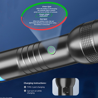 Senter LED Tahan Air IP67 Berkinerja Tinggi, Dapat Diisi Ulang via USB, Logo Kustom, Label Pribadi, Produsen Merek, OEM ODM, 44 Tahun Berpengalaman