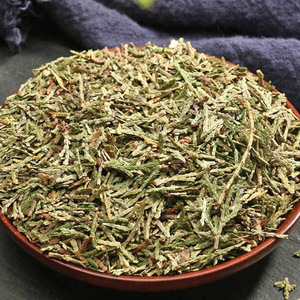 Ce Bai Ye Hojas de árbol de <span class=keywords><strong>Thuja</strong></span> orientales naturales Cortes de hojas de <span class=keywords><strong>Thuja</strong></span> orientales chinas secas a la venta - Product Image 4