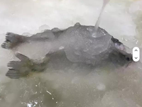 Petites machines à glace en pâte de 3 tonnes par jour pour le refroidissement du béton