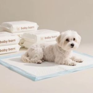 Échantillon Gratuit OEM Vente en Gros Personnalisée Tapis Absorbants Écologiques en Bambou Jetables Anti-Odeur pour Chats et Chiens - Product Image 1