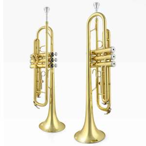 Trompeta <span class=keywords><strong>de</strong></span> Rendimiento en Si Bemol para Principiantes Set <span class=keywords><strong>de</strong></span> <span class=keywords><strong>Instrumentos</strong></span> <span class=keywords><strong>Musicales</strong></span> para Banda Instrumento <span class=keywords><strong>de</strong></span> <span class=keywords><strong>Viento</strong></span> <span class=keywords><strong>de</strong></span> Metal Base Laca Dorada - Product Image 3