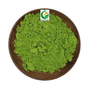 Wheatgrass Fruiterco Private Label Natural Organic Wheat Grass Powder Barley Grass Powder Wheatgrass Powder